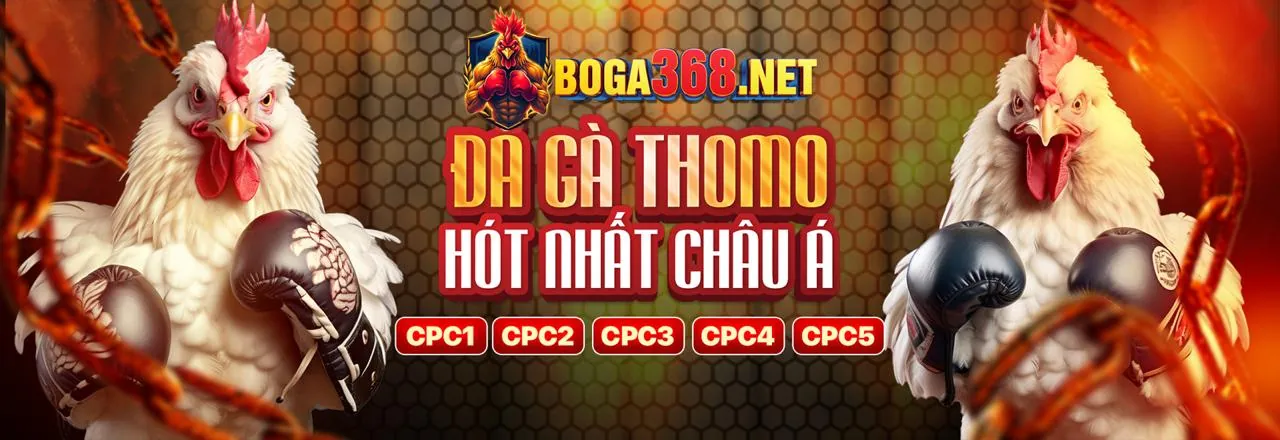 Liên hệ đá gà cựa sắt casino 2026 | Hỗ trợ Chính thức An toàn 🏆