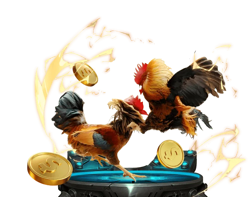 Tổng quan các dịch vụ cá cược tại đá gà cựa sắt casino